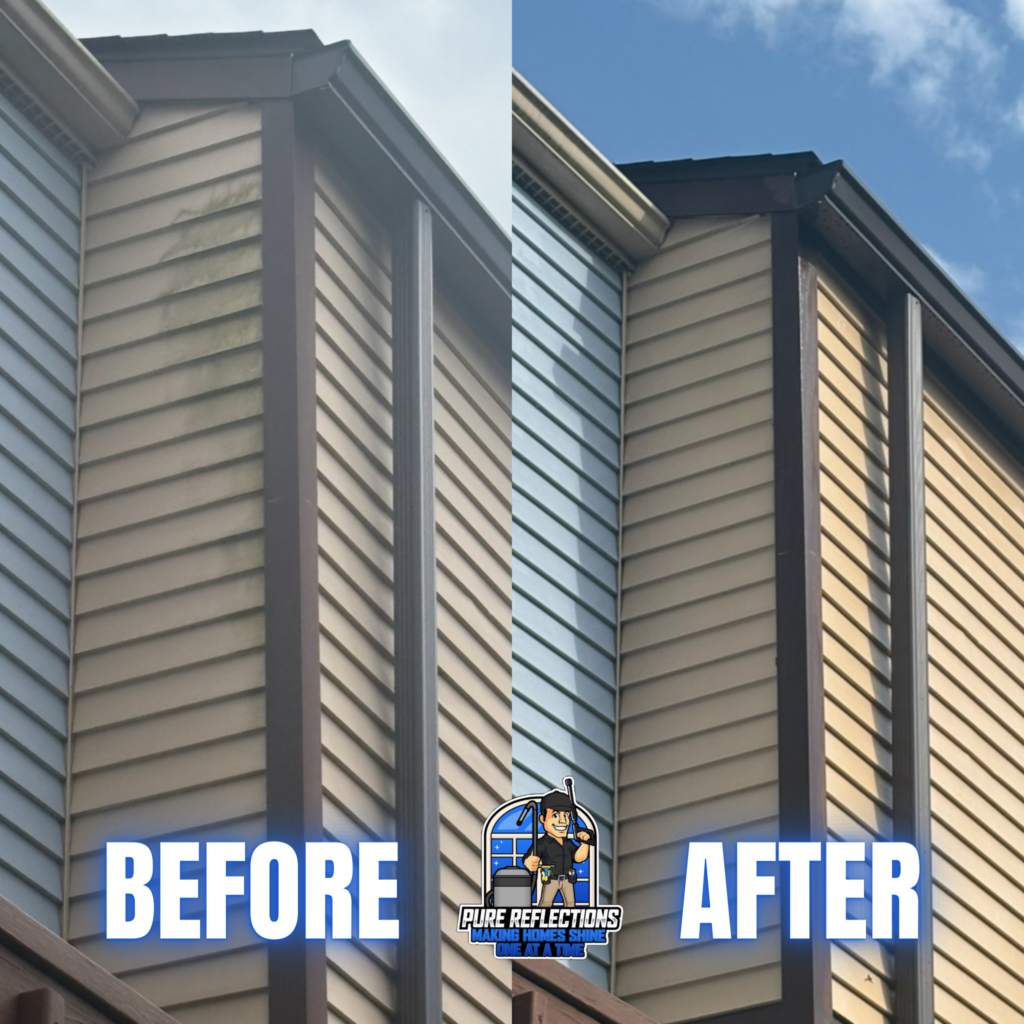 Before and after house washing in South Park, PA showing removal of green algae and staining from vinyl siding.